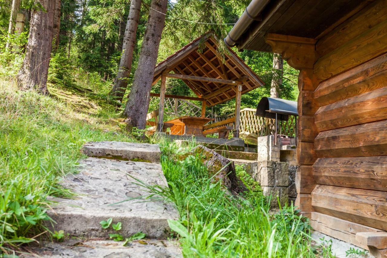 Альпина Hotel Yaremche Exterior photo