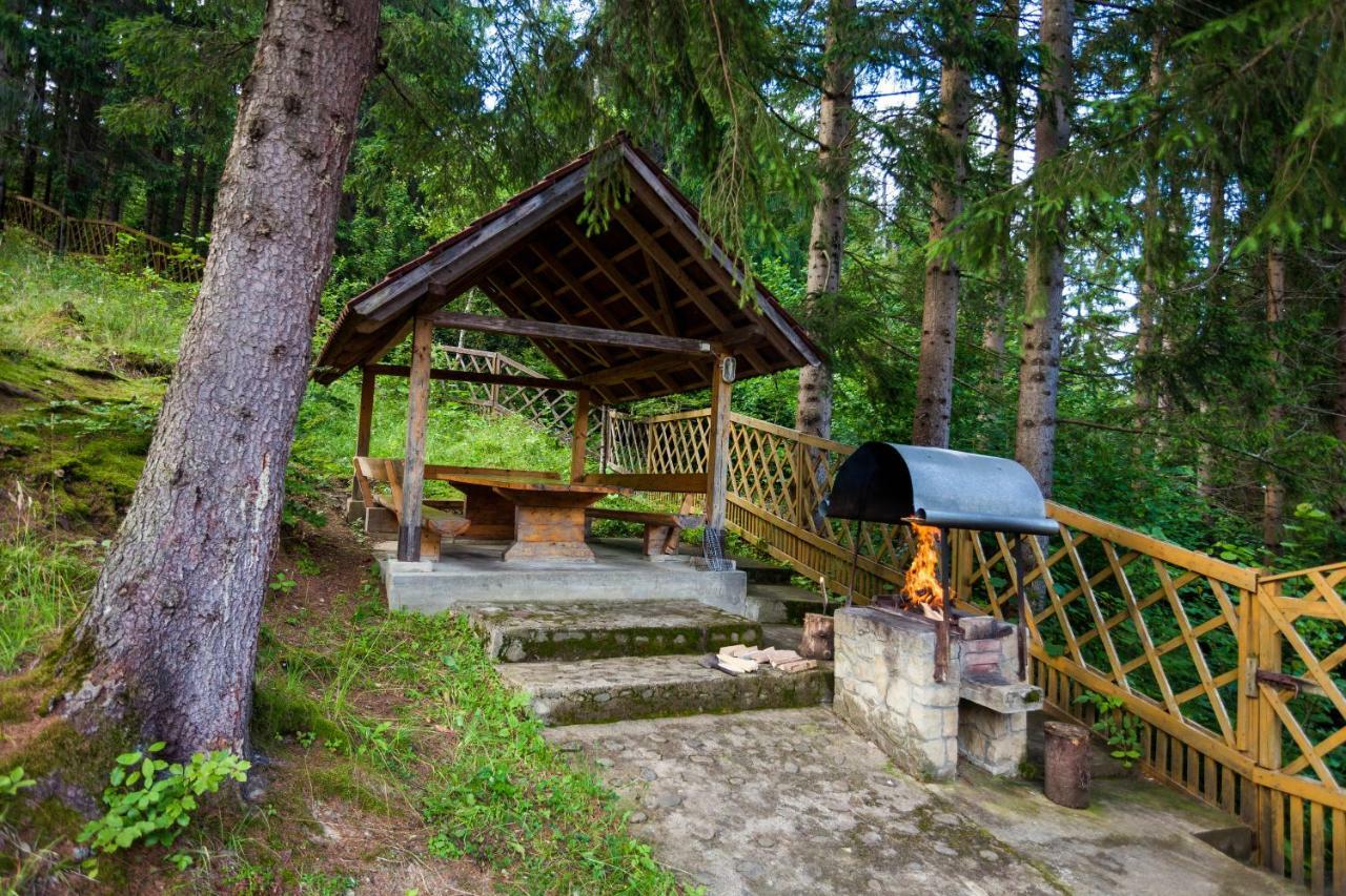 Альпина Hotel Yaremche Exterior photo