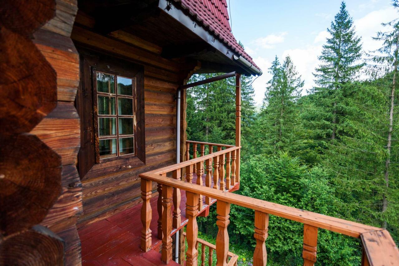 Альпина Hotel Yaremche Exterior photo